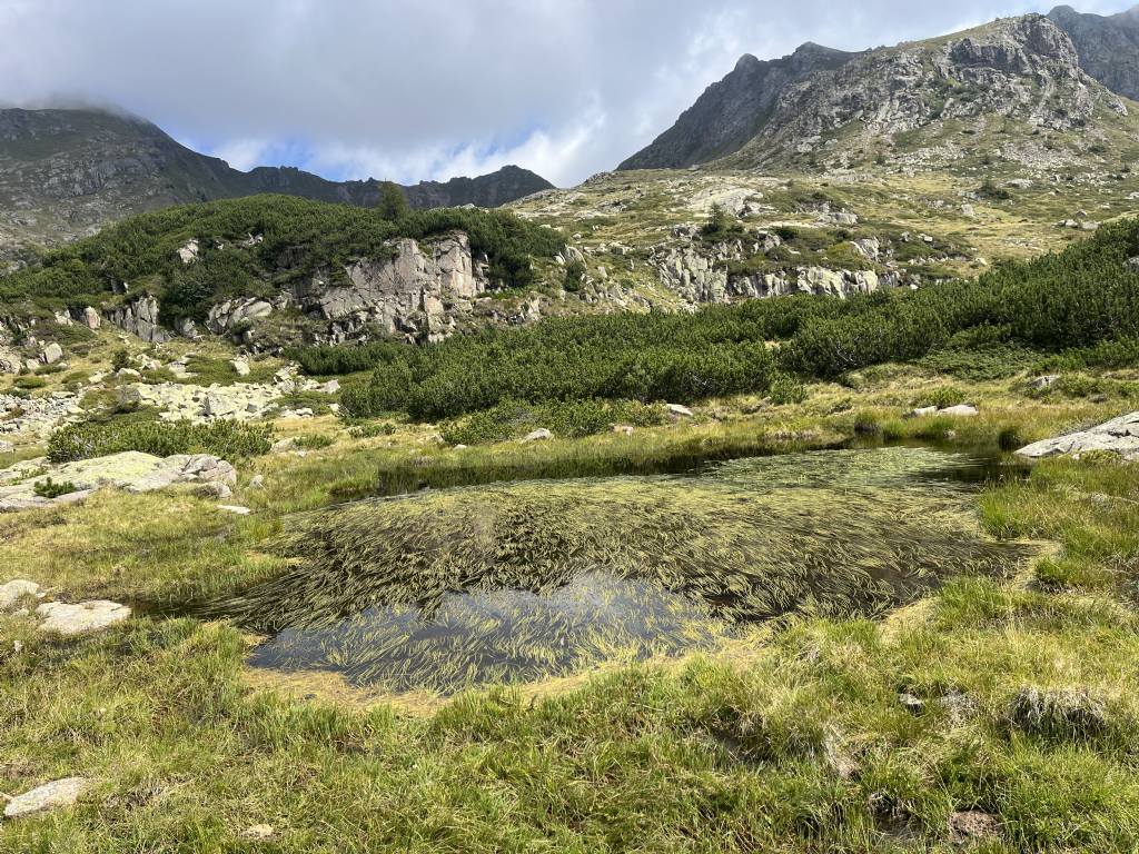 Laghi.......del TRENTINO